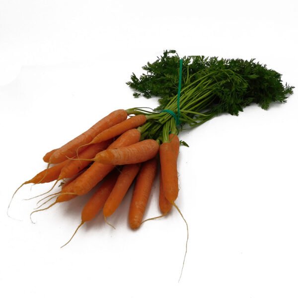 Bunch of Carrots