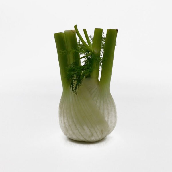 Fennel