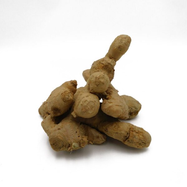 Ginger