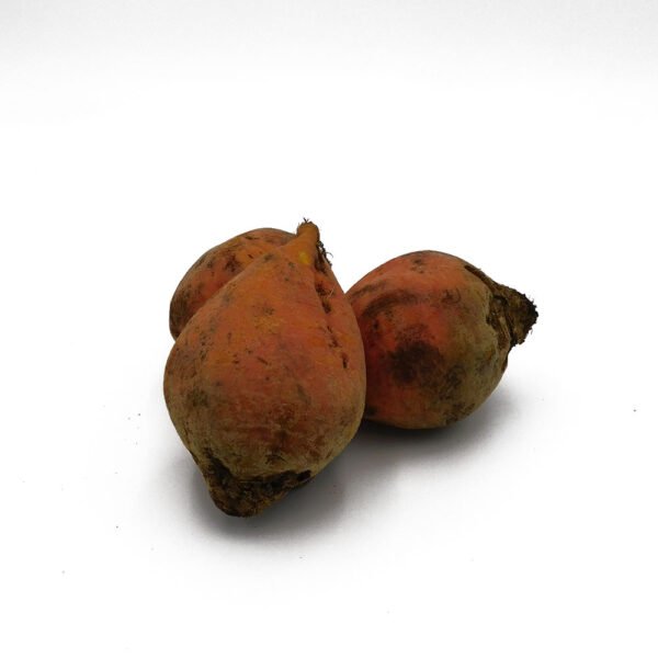 Golden Beetroot