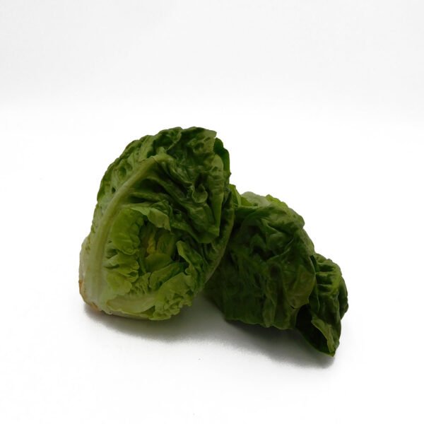Little Gem Lettuce