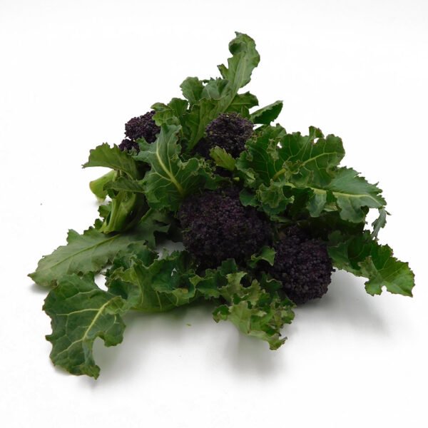 Purple Sprouting Broccoli