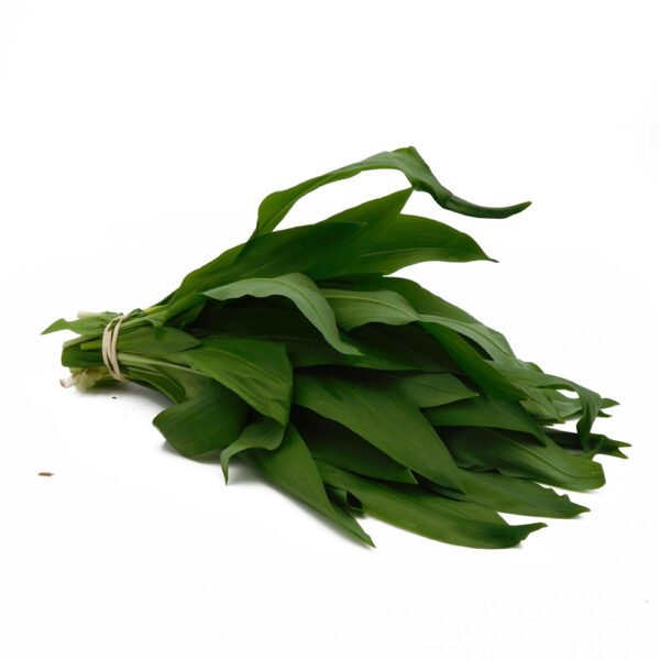 Wild Garlic
